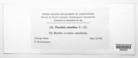 Image Associated With the Occurence